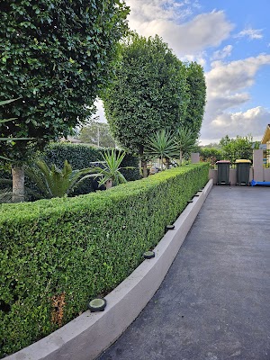 ASET Tree Removal & Garden Rejuvenation project 5