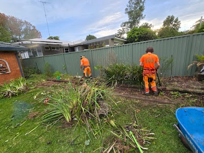 ASET Tree Removal & Garden Rejuvenation project 6
