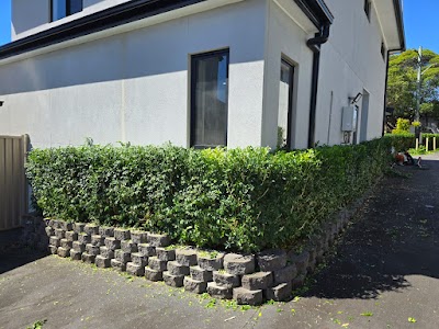 ASET Tree Removal & Garden Rejuvenation