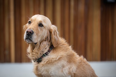 Ashburton Plumbing PTY LTD project 5