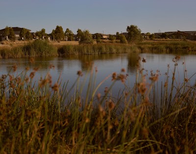 Ashbury Estate work 1