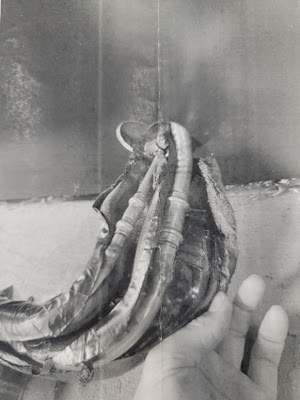 Auscool Airconditioning & Mechanical Services Pty Ltd photo 3