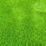 Auzzie Turf