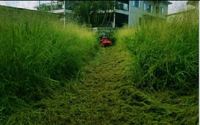 B & M Garden Services Redcliffe