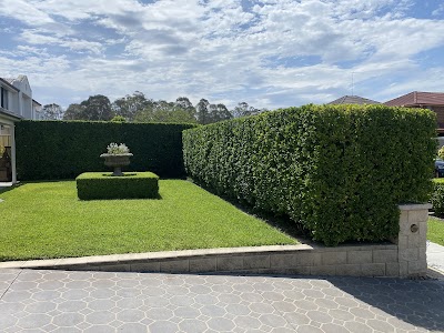 B3landscapes Pty Ltd work 2