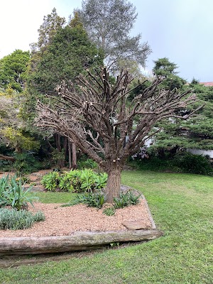 B3landscapes Pty Ltd work 4