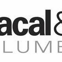 Bacal & Co Plumbing
