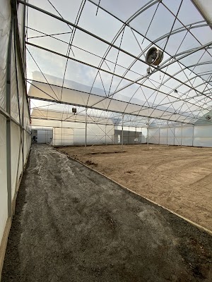 Bailey Excavation & Civil project 4