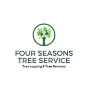 Baldivis Tree Loppers and Tree Removal