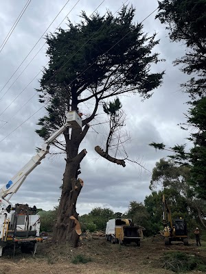 Ballarat Tree Fella photo 2