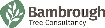 Bambrough Tree Consultancy