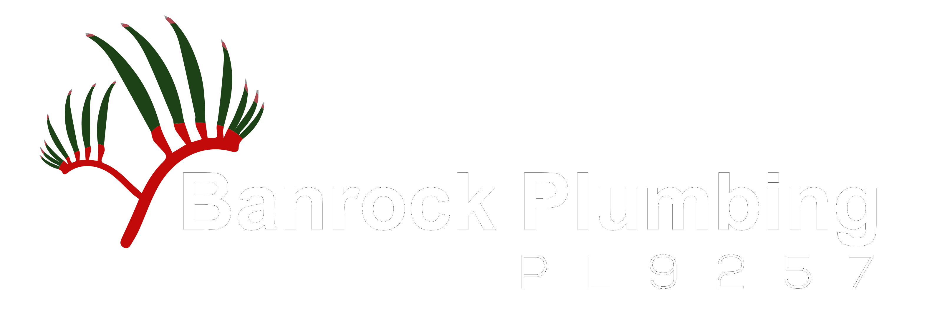 Banrock Plumbing