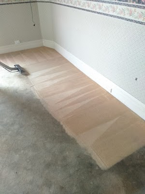 Barwon Carpet Cleaning work 3