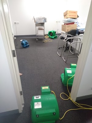 Barwon Carpet Cleaning project 6