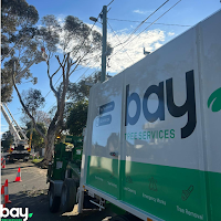 Bay Tree Services