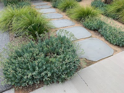 Bayside Garden Care work 2