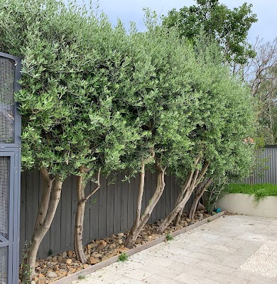 Bayside Garden Care work 4