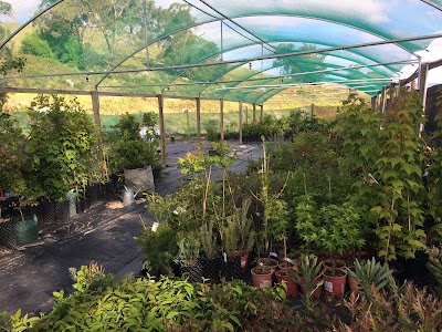 Bayside Garden Care project 5