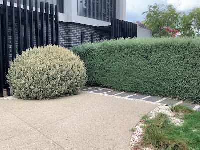 Bayside Garden Care project 6