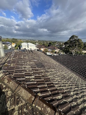 Bayside Roof Cleaning project 4