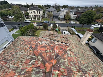 Bayside Roof Cleaning project 5