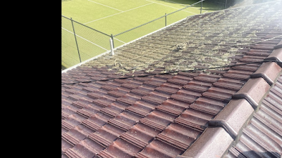 Bayside Roof Cleaning photo 1