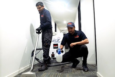 BCCS - Strata Cleaning & Gardening project 6