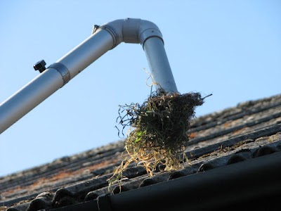 Bendigo Gutter Cleaning project 4