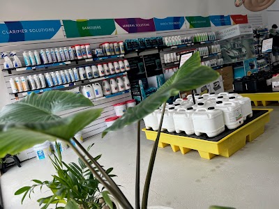 Bendigo Pool Shop project 6