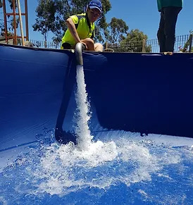 Bendigo Pool Teck photo 2