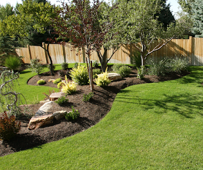 Better Lawn Co. work 4