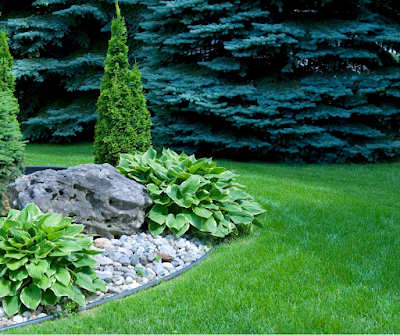 Better Lawn Co. project 6