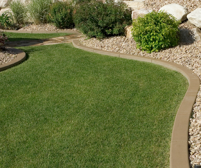 Better Lawn Co. photo 1