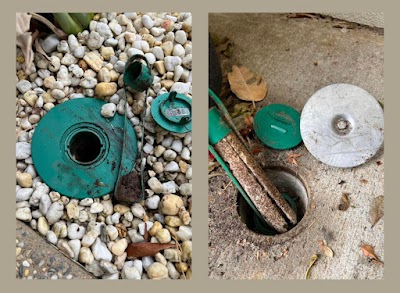 Bio Pest Control Adelaide | Pest Control Services work 2