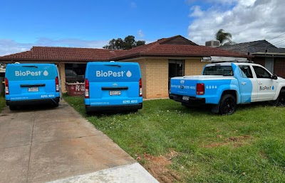 Bio Pest Control Adelaide | Pest Control Services work 3