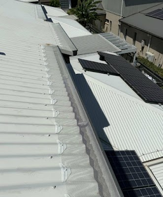 Bio Pest Control Adelaide | Pest Control Services project 5