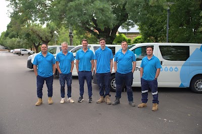 Bio Pest Control Adelaide | Pest Control Services