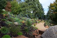 Blandford Landscapes