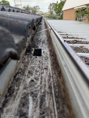 Blown Away Gutter Cleaning project 5
