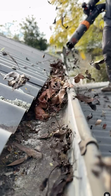 Blown Away Gutter Cleaning project 6