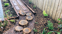 BlueGum Horticulture & Landscape Design