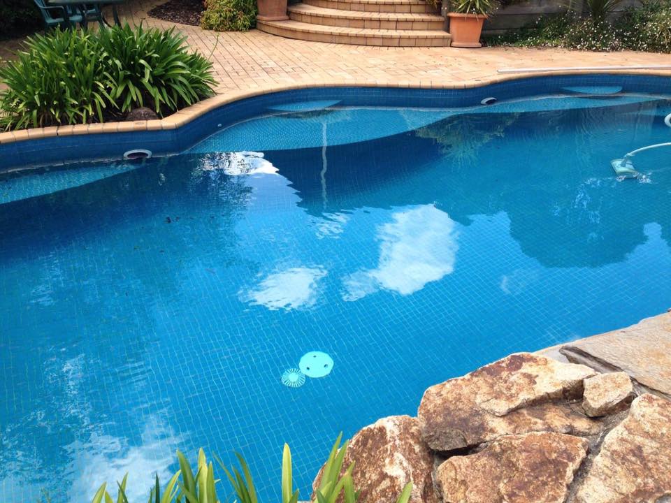 Bluegum Pool Tiling