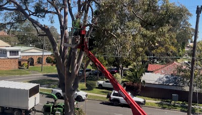 Bob and Ben the Tree Men project 6