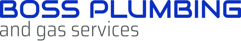 Boss Plumbing & Gas Services (SA)
