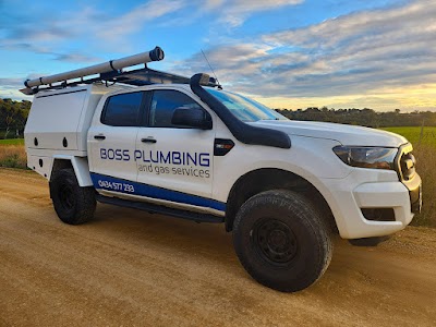 Boss Plumbing & Gas Services (SA)
