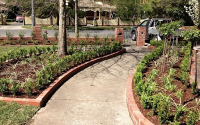 Botanicalshapes work 2