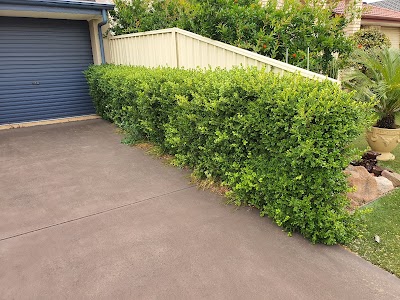 BP Blitz Garden Maintenance and Landscaping Services project 6