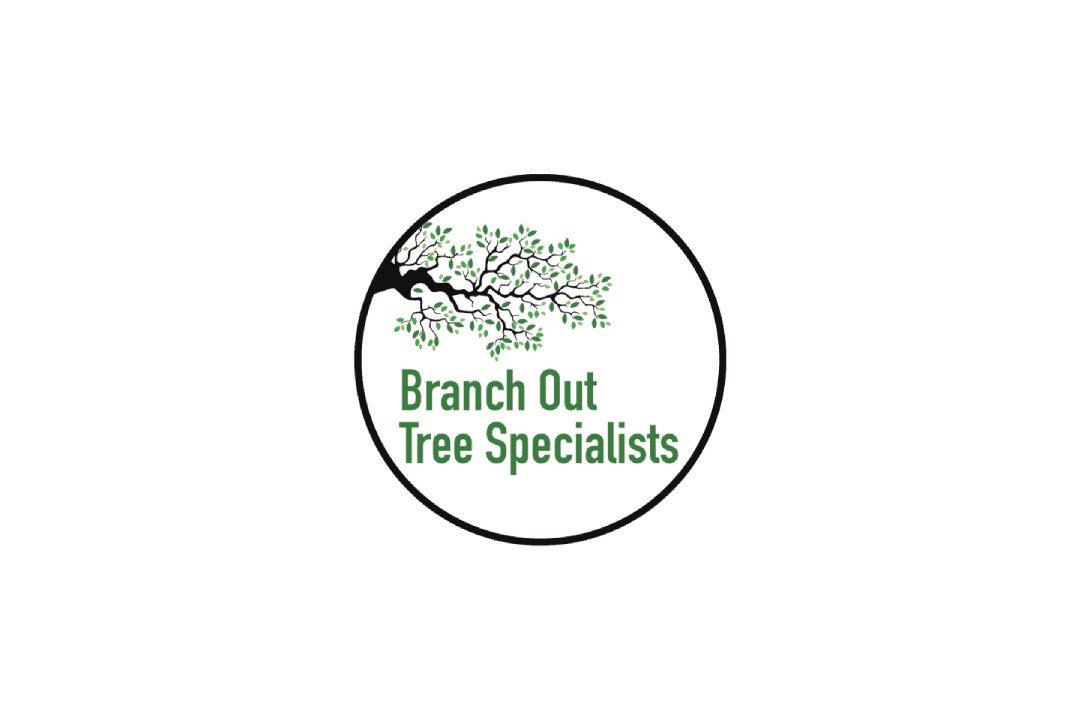 Branch Out Tree Specialists