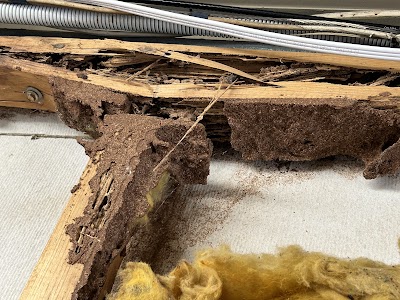 Bright Pest Control Pty Ltd