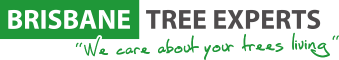 Brisbane Tree Experts | Tree Arborists & Tree Care Specialists